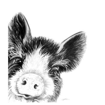 Wee Tee Piggy Design