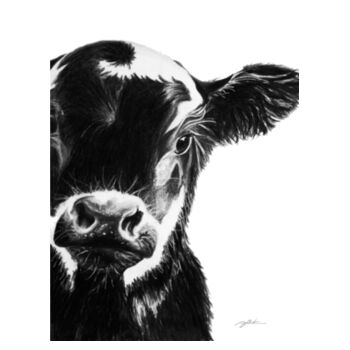 Wee Tee Calf Design