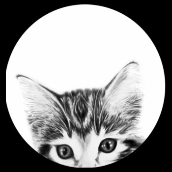 Tote Kitten Design