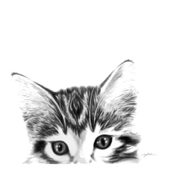 Wee Tee Kitten Design