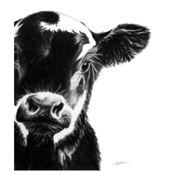 Mens Calf Tee Design