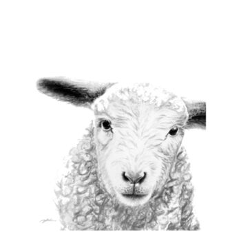 Lamb Wee Tee Design