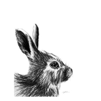 Bunny Design