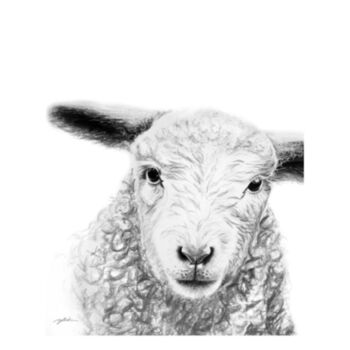 Lamb Childrens Tee Design