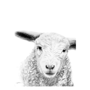 Lamb Wee Tee 2021 Design
